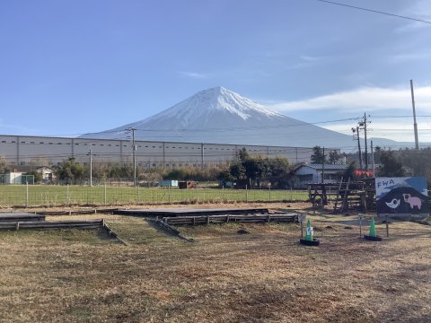 FWAの広い会場から見る富士山