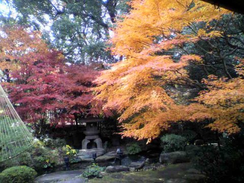 駒場公園和館の庭園