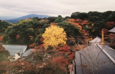 信貴山の秋