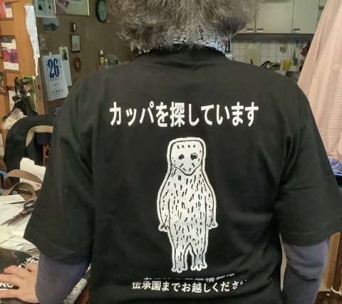 白地もあります