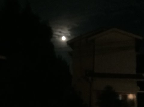 18：30ごろの月