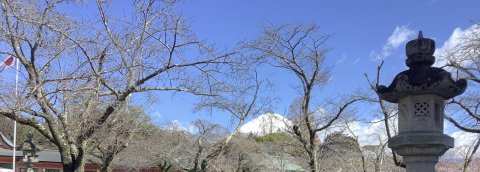 浅間大社からの富士山