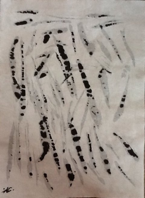 申 30x24cm